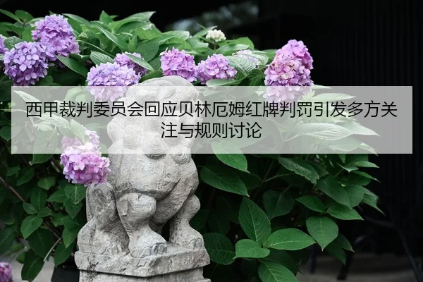 img_1780614269590_690_1_846.jpg
